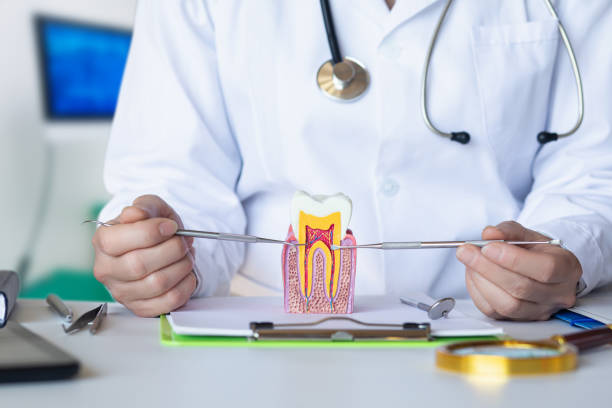 Best Chipped Tooth Repair Near Me  in Orlando, FL